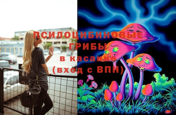 мет Каменка