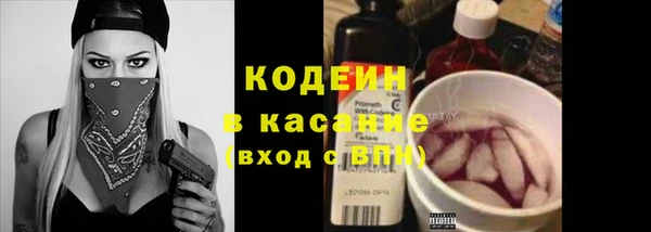 мет Каменка