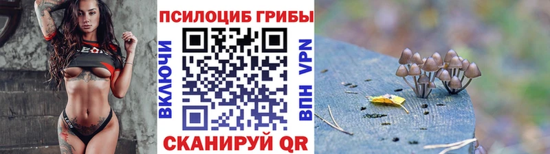 мориарти как зайти  Кимовск  Псилоцибиновые грибы Psilocybine cubensis 