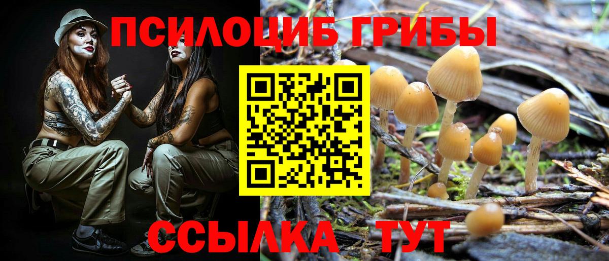 Псилоцибиновые грибы Magic Shrooms Кимовск