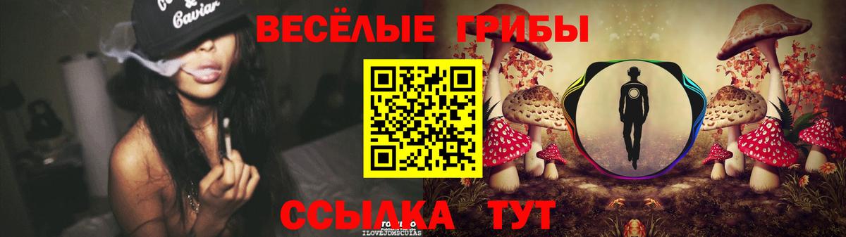 Галлюциногенные грибы GOLDEN TEACHER  Вход с VPN  Кимовск 