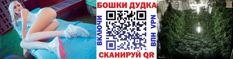 дарнет шоп  Кимовск  Шишки марихуана конопля 